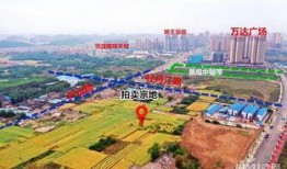 碧桂园爆料最新消息德阳,揭秘项目进展与未来规划