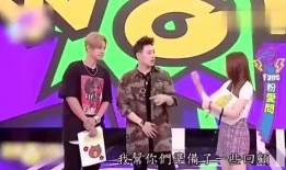 小猪节目爆料视频大全集,揭秘幕后故事与精彩瞬间